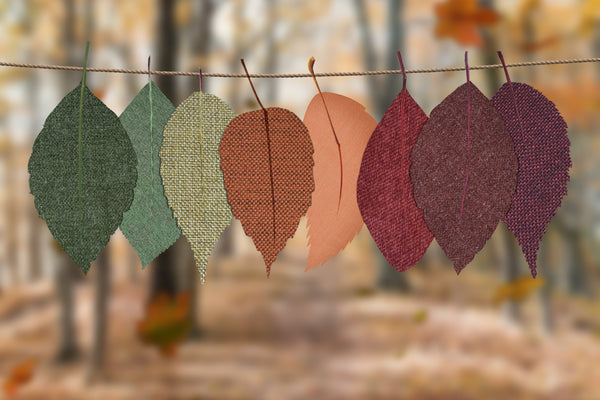 Things to do in Fall